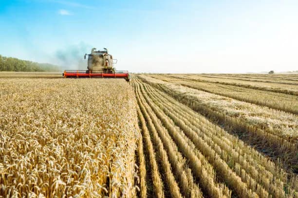 Agriculture Land